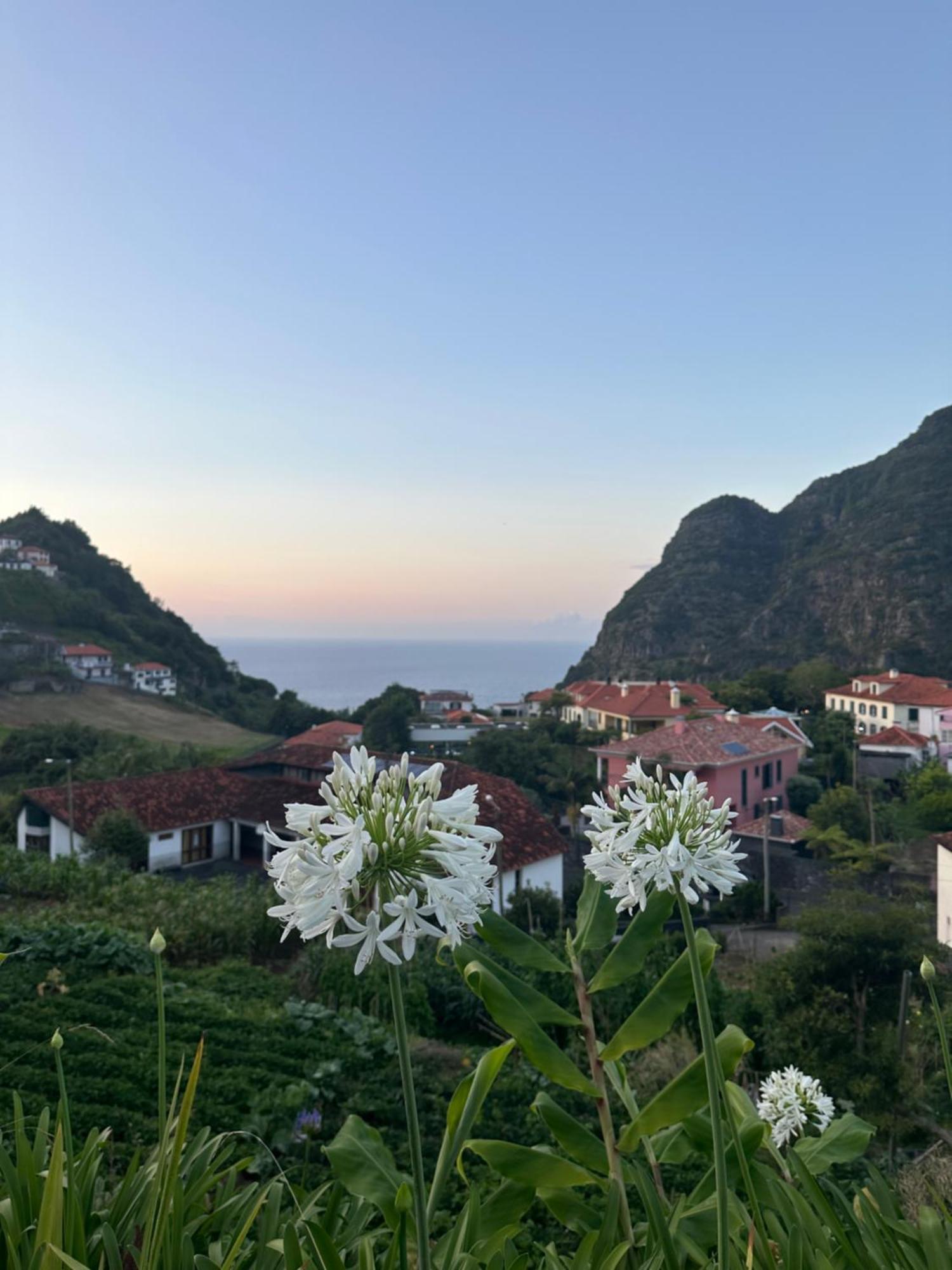 The Green Valley House São Vicente Exterior photo